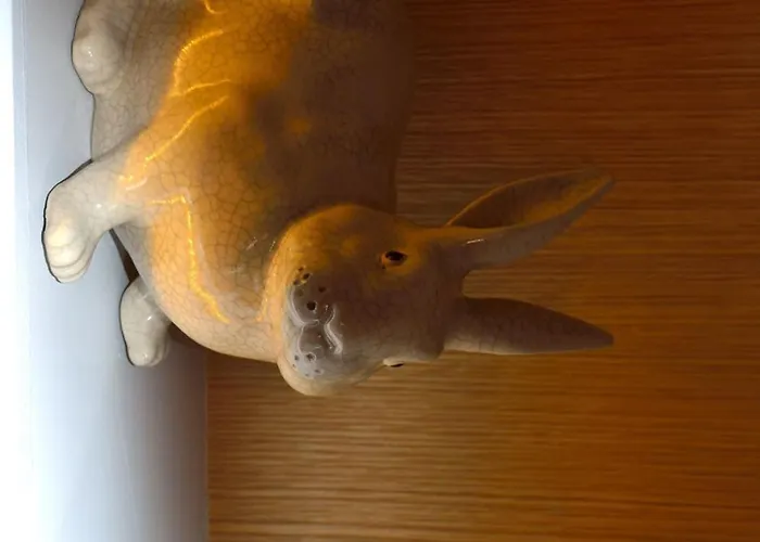 Hotel Le Lapin Blanc
